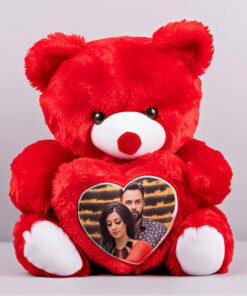 Valentine's Day Special Teddy Bear